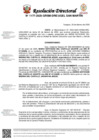 Vista preliminar de documento Resolución Directoral 1177-2025-grsm-dre-ugelsm