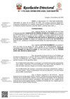 Vista preliminar de documento Resolución Directoral 1178-2025-grsm-dre-ugelsm