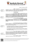 Vista preliminar de documento Resolución Directoral 1179-2025-grsm-dre-ugelsm