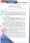 Vista preliminar de documento RA294-2018