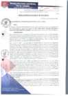 Vista preliminar de documento RA307-2018