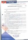 Vista preliminar de documento RA312-2018