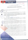 Vista preliminar de documento RA333-2018