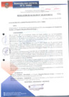Vista preliminar de documento RA335-2018