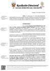 Vista preliminar de documento Resolución Directoral 1186-2025-grsm-dre-ugelsm