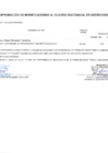 Vista preliminar de documento Modificaciones al Cuadro Multianual de Necesidades Nº 00000056-2025-MDSA