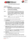 Vista preliminar de documento INFORME N°1095-2025