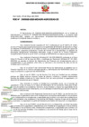 Vista preliminar de documento RDE-D000029-2025-MIDAGRI-AGROIDEAS-DE