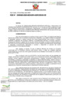 Vista preliminar de documento RDE-D000028-2025-MIDAGRI-AGROIDEAS-DE