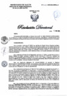 Vista preliminar de documento RD N°308-2025-DG-DIRIS-LC
