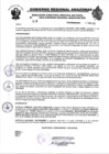 Vista preliminar de documento RESOLUCION N°337