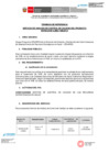 Vista preliminar de documento TDR - SERVICIOS DE ANALISIS DE CONTROL DE CALIDAD PRODUCTO ENTECAVIR 0.5 MG TAB