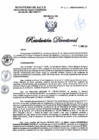 Vista preliminar de documento RD N°294-2025-DG-DIRIS-LC