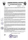 Vista preliminar de documento RESOLUCION N°338