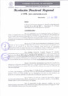 Vista preliminar de documento RDR 191-2025