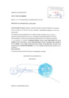 Vista preliminar de documento Prescripción adquisitiva de dominio vehicular placa N.° A3E039
