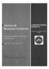 Vista preliminar de documento INFORME DE MONITOREO