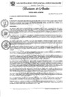 Vista preliminar de documento Nº 074-2025