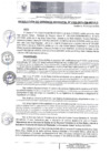Vista preliminar de documento RGM 102 2025