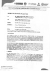 Vista preliminar de documento Aprobación de Modificaciones al Cuadro Multianual de Necesidades 16/05/2025