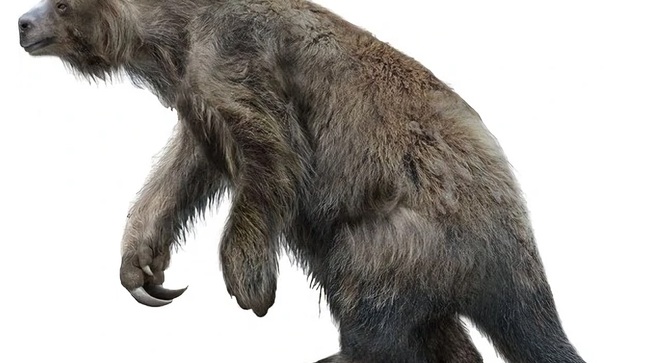 Figura 02. Reconstrucción digital del perezoso gigante Eremotherium sp. (Fuente : https://www.reddit.com/r/Naturewasmetal/comments/twnpkt/with_a_length_of_6_meters_and_a_mass_of_65_tonnes/)