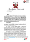 Vista preliminar de documento RD N°461-2025