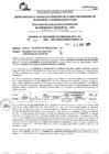 Vista preliminar de documento R.E.E.A.A 245-2025-23-05-2025