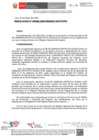 Vista preliminar de documento RESOLUCION N°00382-2025-RENADE-DNCTD/IPD