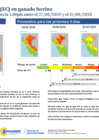 Vista preliminar de documento boletinITH270525