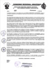 Vista preliminar de documento RESOLUCION N°349
