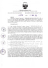 Vista preliminar de documento RDR N°377-2025-26-05-2025
