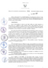 Vista preliminar de documento ORA.208