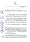 Vista preliminar de documento ORA.209