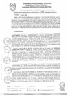 Vista preliminar de documento RGR0220-2025-GRI