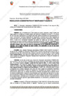Vista preliminar de documento 279
