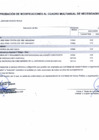 Vista preliminar de documento Anexo 06 - Modificaciones al Cuadro Multianual de Necesidades 00024