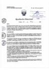 Vista preliminar de documento RD N° 167-2025-DE/HJATCH