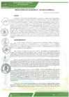 Vista preliminar de documento ra-106