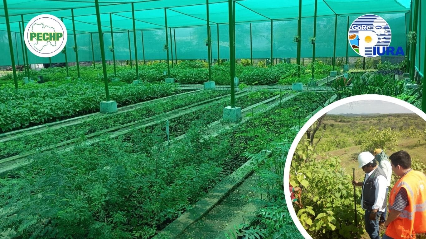 Con este proyecto se pretende contrarrestar los efectos del cambio climático
