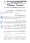 Vista preliminar de documento R.D 50-2025.pdf