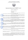 Vista preliminar de documento R.D 71-2025.pdf