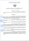 Vista preliminar de documento R.D 105-2025.pdf