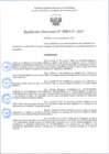 Vista preliminar de documento R.D 111-2025.pdf