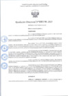 Vista preliminar de documento R.D 196-2025.pdf