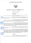 Vista preliminar de documento R.D 207-2025.pdf