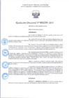 Vista preliminar de documento R.D 209-2025.pdf