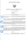 Vista preliminar de documento R.D 217-2025.pdf