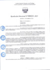 Vista preliminar de documento R.D 221-2025.pdf