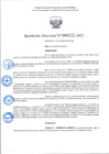 Vista preliminar de documento R.D 222-2025.pdf
