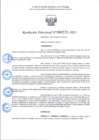 Vista preliminar de documento R.D 223-2025.pdf